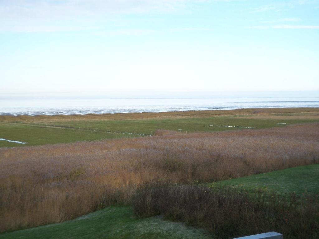 Ferienwohnung Luxus Mit Wattenmeerblick Morsum  Room photo